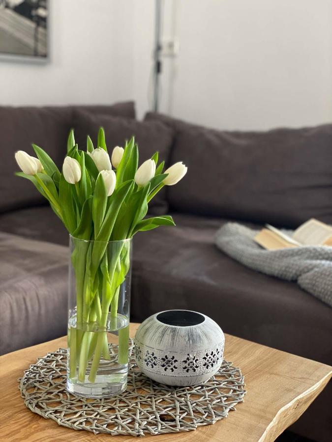 Weinquartier Naumburg Appartement Naumburg  Buitenkant foto