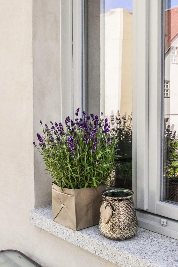 Weinquartier Naumburg Appartement Naumburg  Buitenkant foto